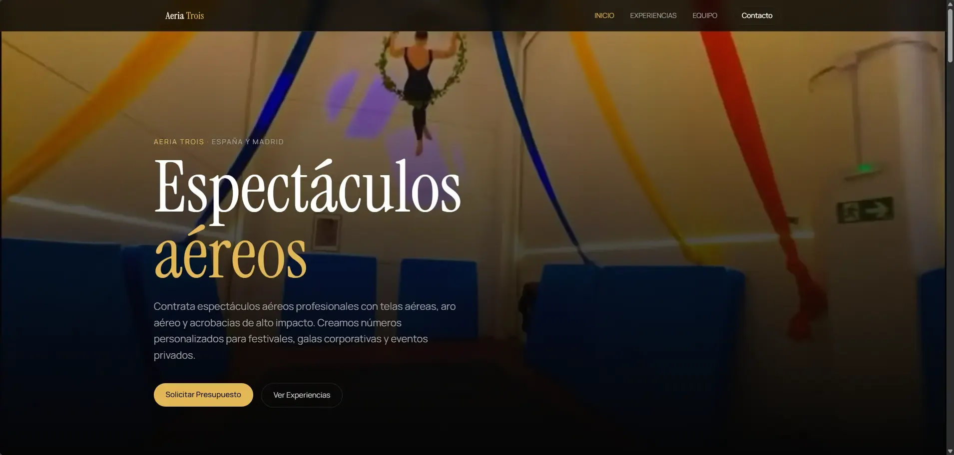 Captura del sitio web de Aeriatrois